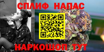 a pvp Будённовск