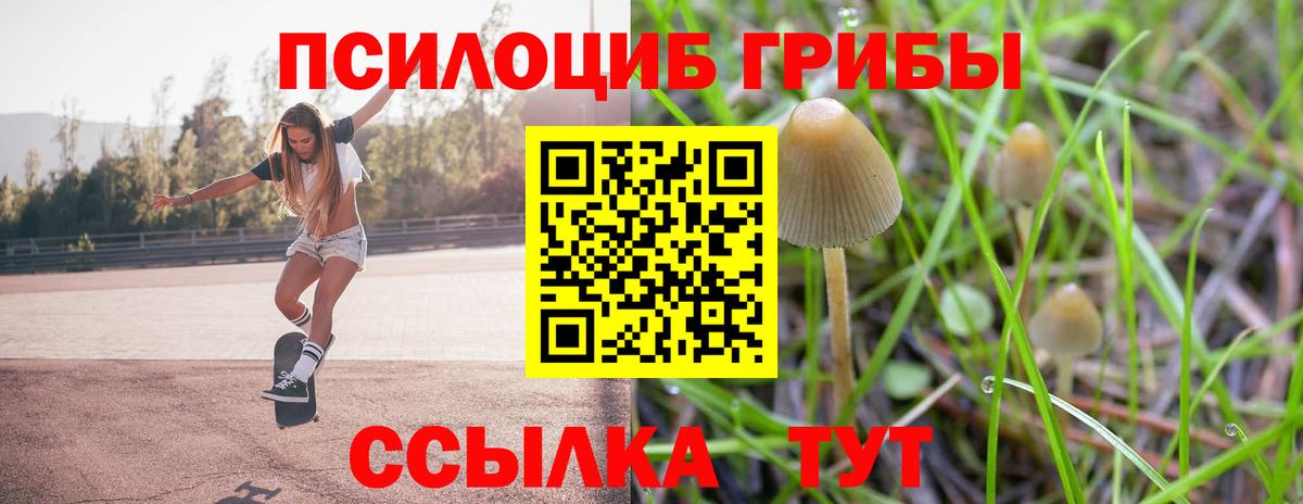 Псилоцибиновые грибы Magic Shrooms Ростов Великий